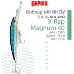 Воблер X-Rap Magnum 10, 11см, 22гр, цвет HH, плавающий