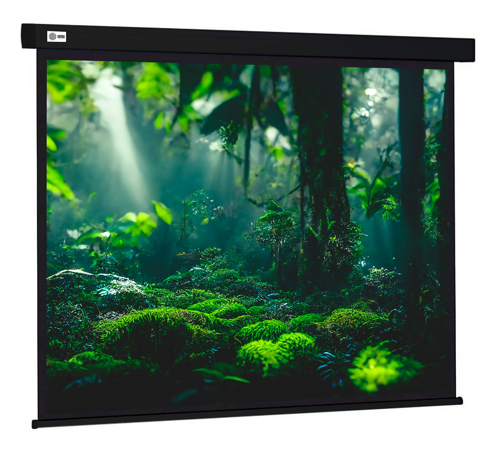 Экран  Cactus CS-PSW-213X213-BK