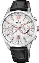 Мужские наручные часы Festina F16996/1