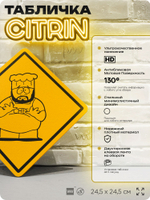Табличка декоративная "Шеф" из сериала Южный парк, South Park на дверь и стену, прикольная штука в подарок фанату, декоративный знак, 24,5х24,5 см, серия CITRIN / ЦИТРИН, Айдентика Технолоджи