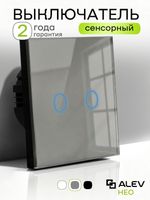 Выключатель сенсорный двухклавишный для дома