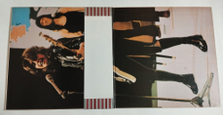 Винтажная виниловая пластинка LP Suzi Quatro (Japan 1975) (Obi)