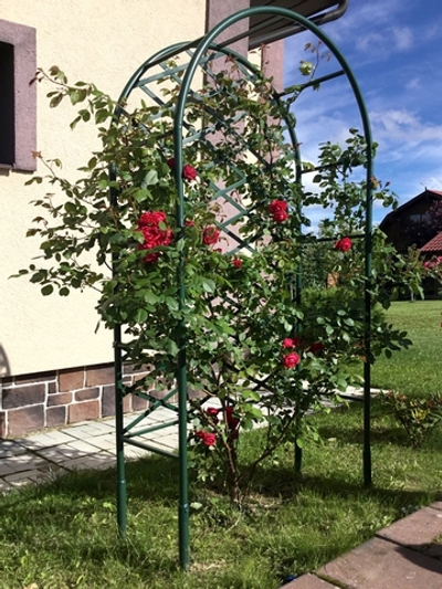 Шпалера для цветов