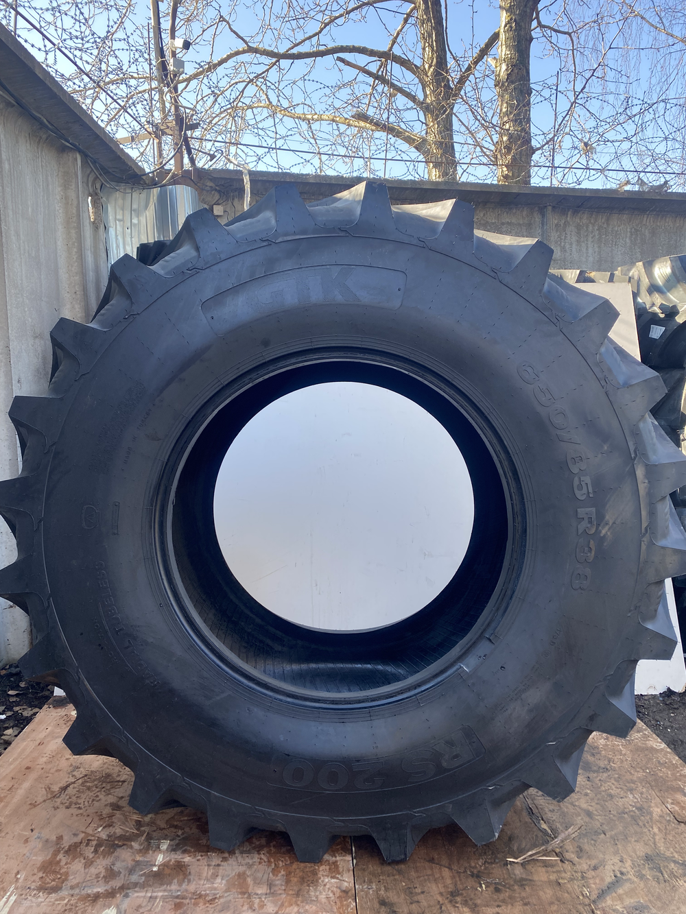 Сельскохозяйственная шина 650/65 R42 RS200 TL 165/168