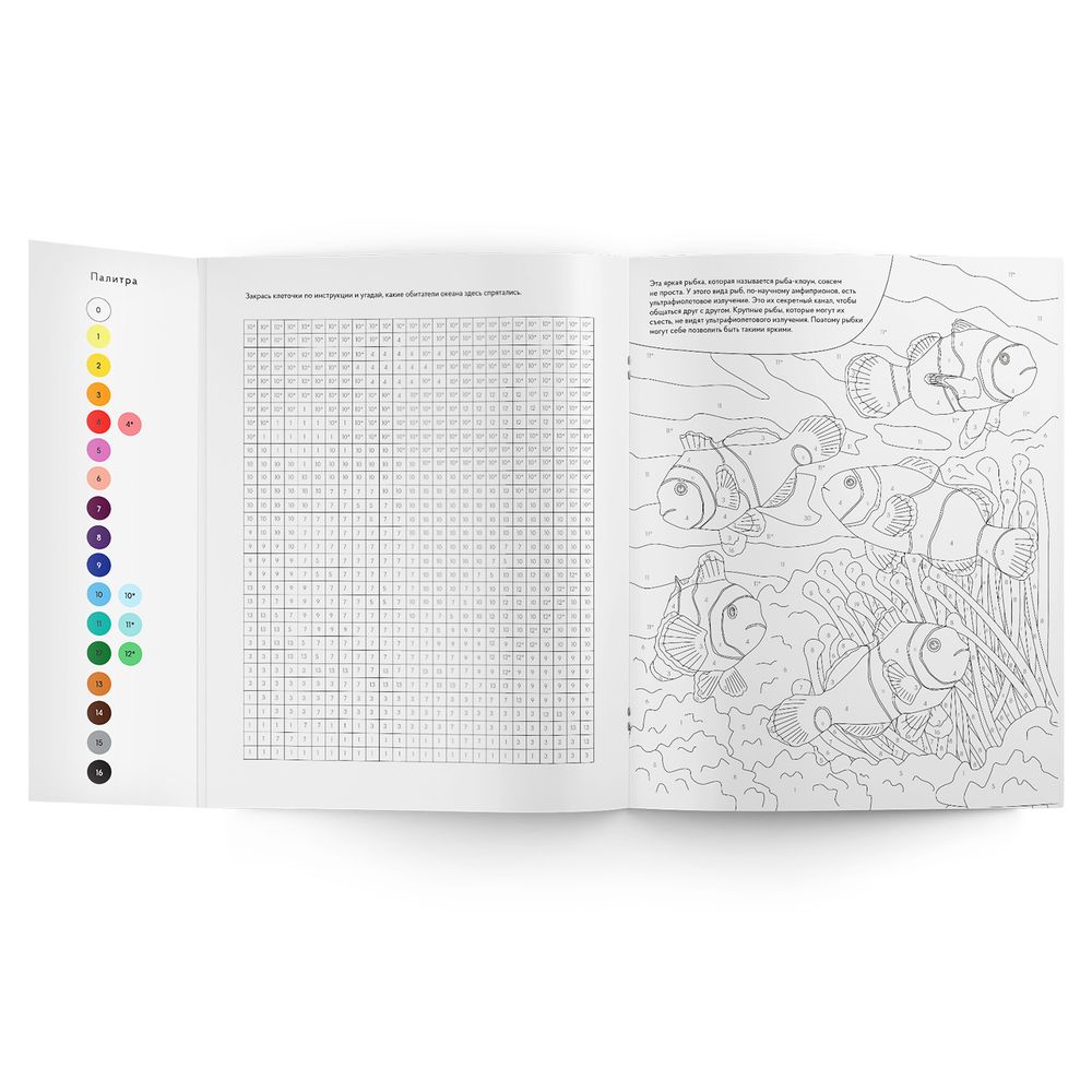 Набор из 3 больших раскрасок по номерам