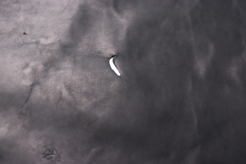 Уценка: 1,2-1,4 кожа подкладочная лицевая чёрная 226 дм²