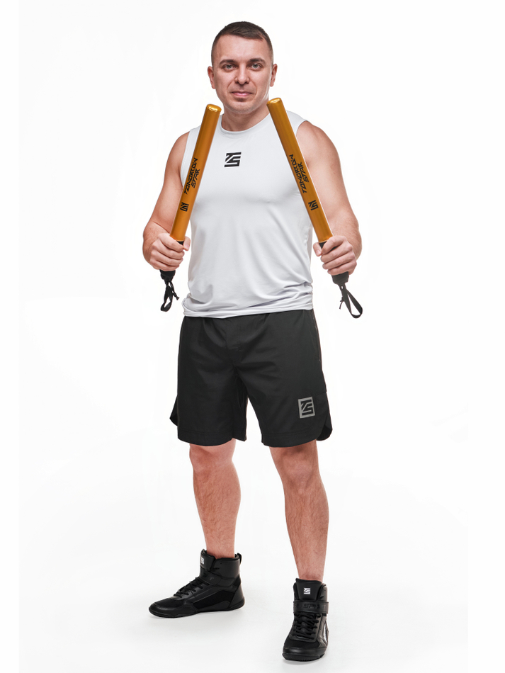 Палки тренерские Tomorrow Star золото NEW пара