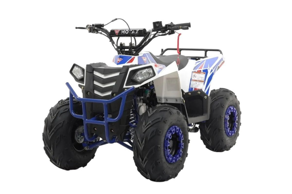 Квадроцикл MOTAX Grizlik A110