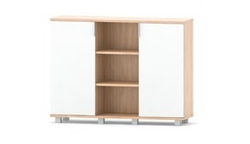 Шкаф комбинированный BR-5 (BRAVO)