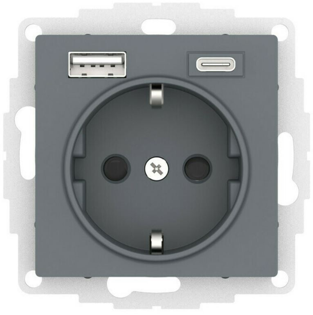 Розетка с заземлением с 2 USB  Systeme Electric ATN000732