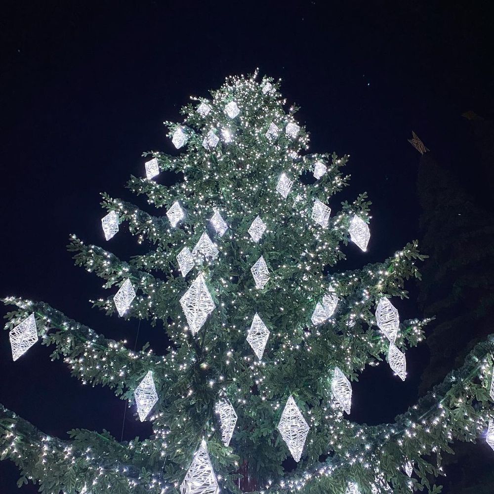 Светодинамическая елка ствольная со скамейкой, встроенная гирлянда: Холодный свет - "Лесная" (Литая хвоя) 6 м