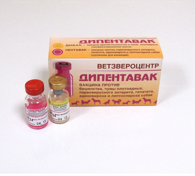 Вакцина Дипентавак 1д 5д