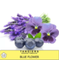 Tangiers Noir - Blue Flower (250г)