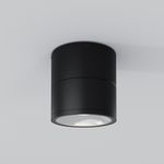 Потолочный светильник Outdoor O310CL-L7GF3K