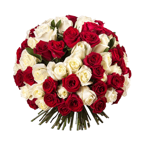 Траурный букет из живых цветов «80 красных и белых роз»