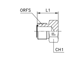 Заглушка V (Ш) ORFS 1.11/16-12
