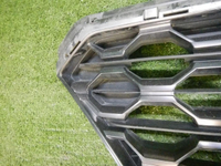 Решетка радиатора Hyundai Santa Fe 4 TM (2018-2021)