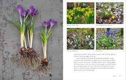 My Garden: A Year of Design and Experimentation