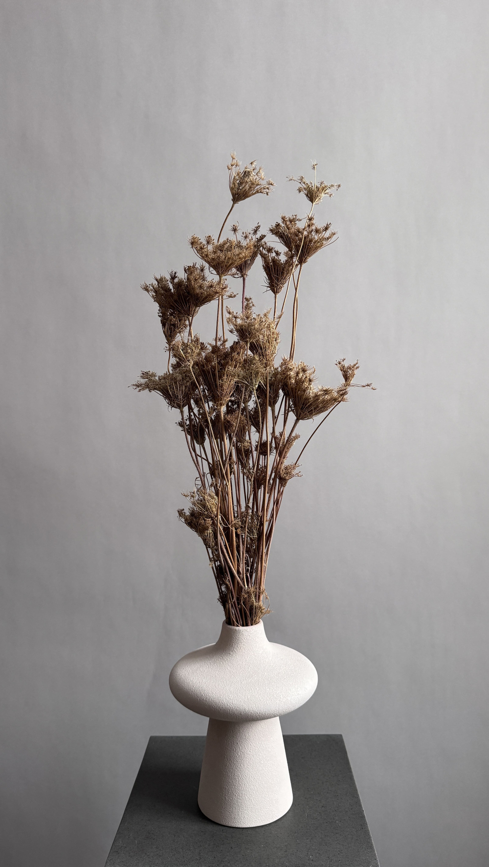 Фенхель натуральный