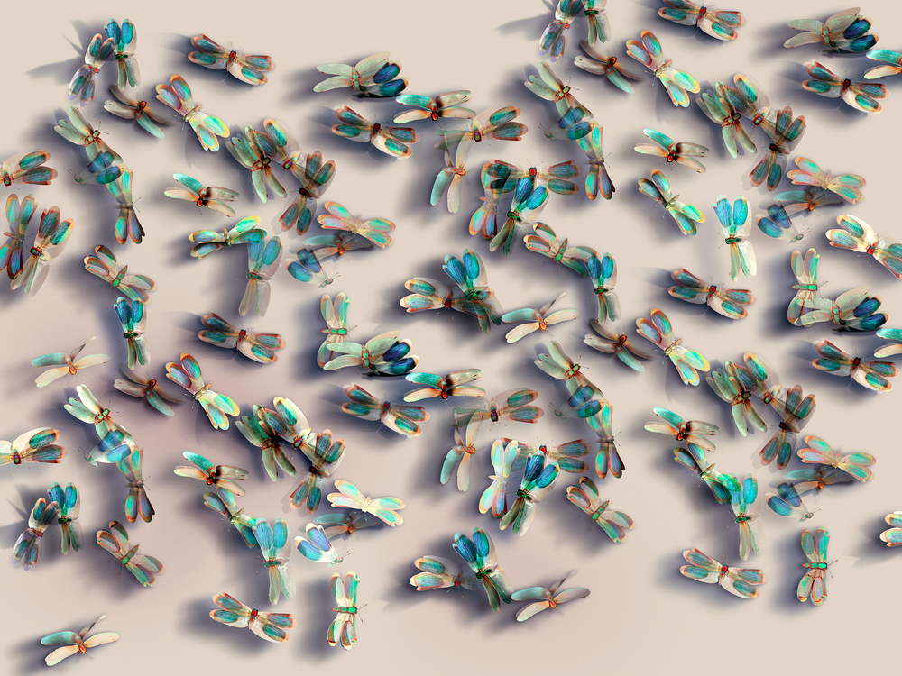 Коллекция FARFALLE