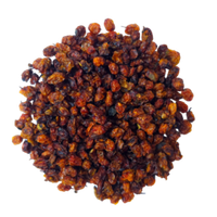 Облепиха Алтайская "Лесная"