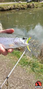 Силиконовая приманка ZOMBIE Flex #26