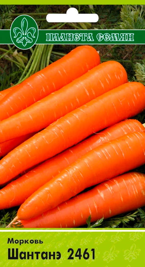 Морковь Шантане 2461