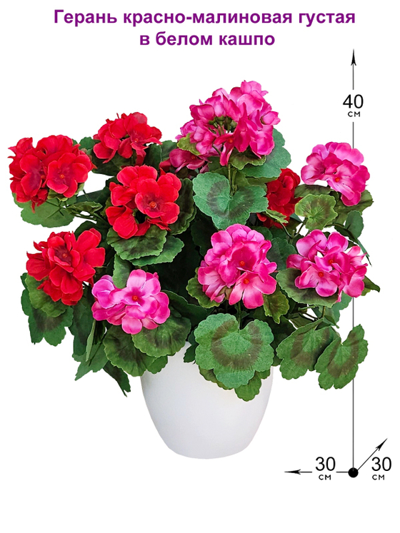 Искусственные цветы Герань красно-малиновая густая 40см в белом кашпо