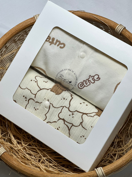 Набор Контурные Мишки