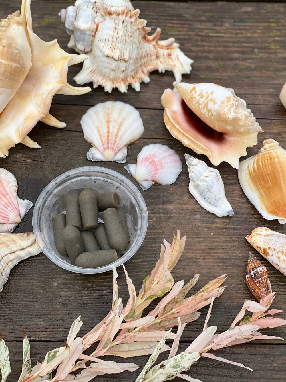 Фитосвечи ректальные антипаразитарные