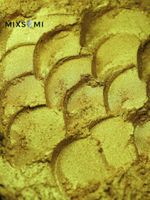 Премиум пигмент 8849 - Золото Фараона - универсальный