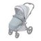Коляска ANEX l/type 2 в 1 (lt-10t) frost + Аксесcуары