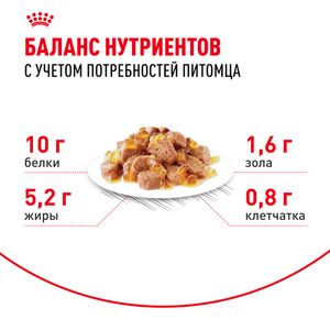Пауч Royal Canin Ageing +12 для стареющих кошек в возрасте старше 12 лет, мелкие кусочки в желе
