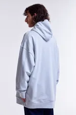 Худи Гербарий Василек Light серо-голубое