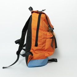 Рюкзак Citypack Color Block морковный