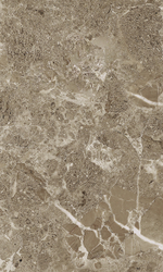 Saloni brown wall 02 v2 300х500 (1-й сорт)