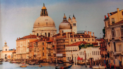 Микровелюр Xpoint (Икспоинт) 0086.01 Венеция