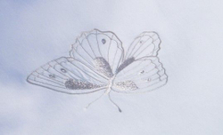 Наволочка для валика 15х40 Christian Fischbacher Luxury Nights Fly Away 717 Швейцария детали