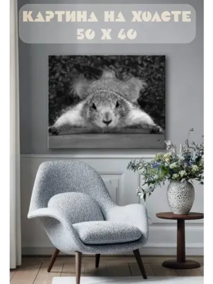 Картина на стену 40 X 50 Белка