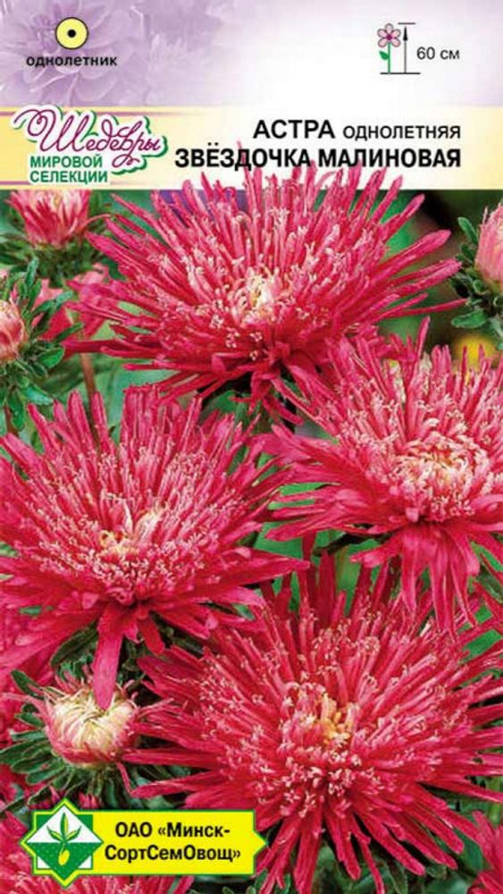 Астра "Звездочка Малиновая" 0,1г, Германия.