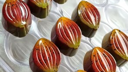 902 | Форма для шоколадных конфет (275х175 мм)