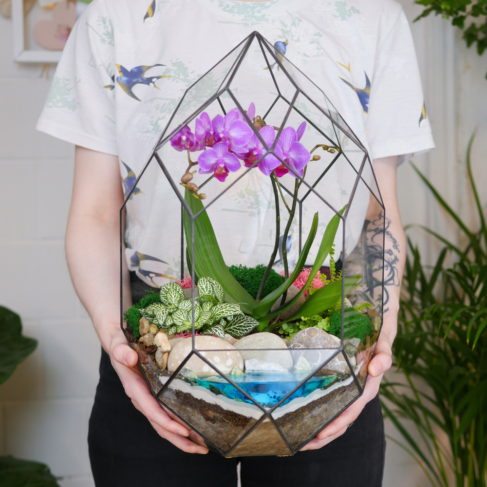 Готовый флорариум с пурпурной орхидеей Цефей с озером