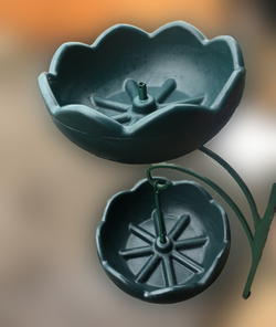 Цветочница Улитка двойная