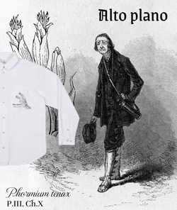 Рубашка ALTO Paganel Flora