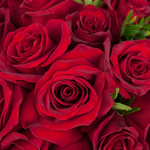 Букет 35 красных роз "Огонь любви"
