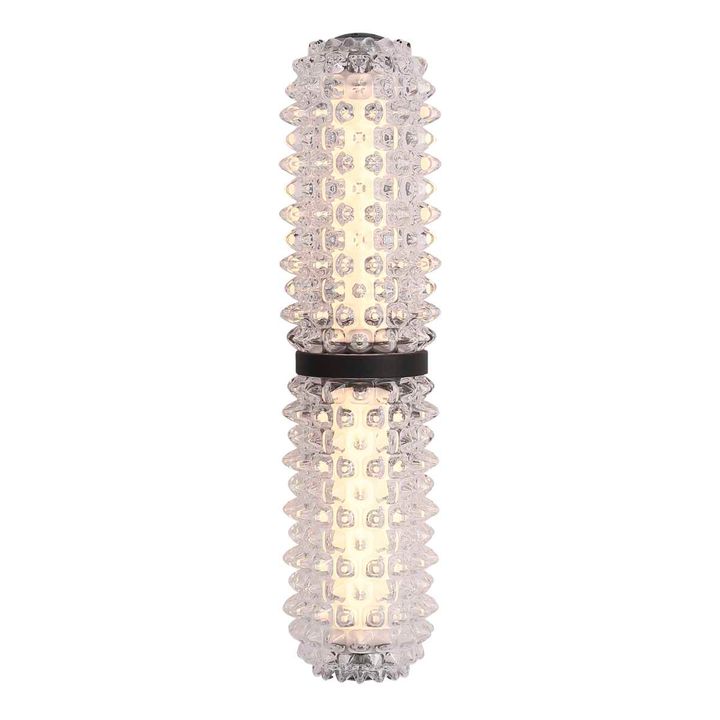 Настенный светильник ST Luce SAGUARO SL6144.401.01