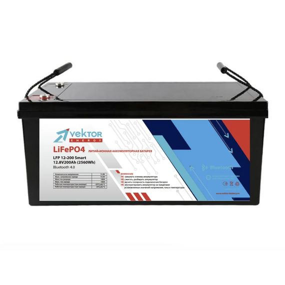 Литий Аккумулятор VEKTOR LFP 12-200, YASHEL Technologies Литий Аккумулятор VEKTOR LFP 12-200, фото №790935812