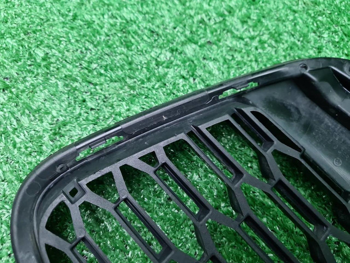 Решетка перед. бампера BMW 7er G11 (19-22) M-paket