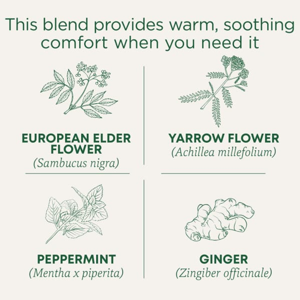 Traditional Medicinals, Organic Herbal Cold Care™, бузина со специями, без кофеина, 16 чайных пакетиков, 28 г (0,99 унции)