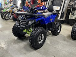 Квадроцикл PROMAX WILD 2.0 190 PRO (2025)